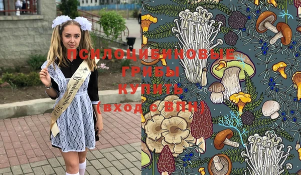 гашик Апатиты