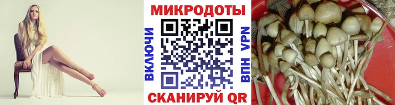 Псилоцибиновые грибы мицелий  Спас-Клепики 
